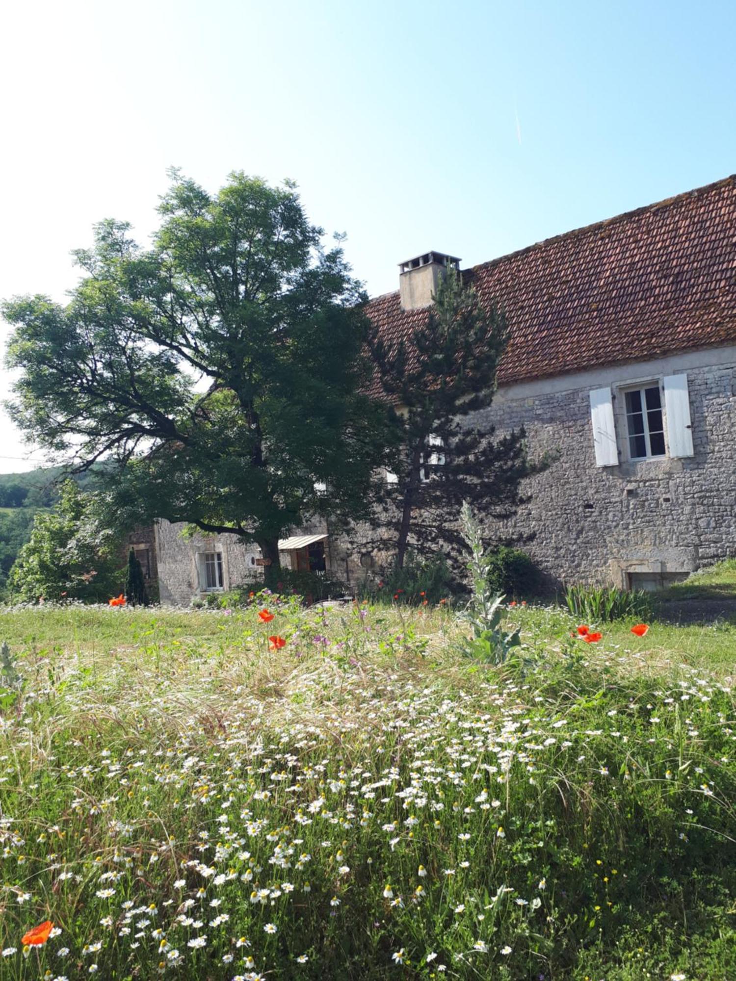La Ferme De Roquedure 호텔 Montfaucon  외부 사진